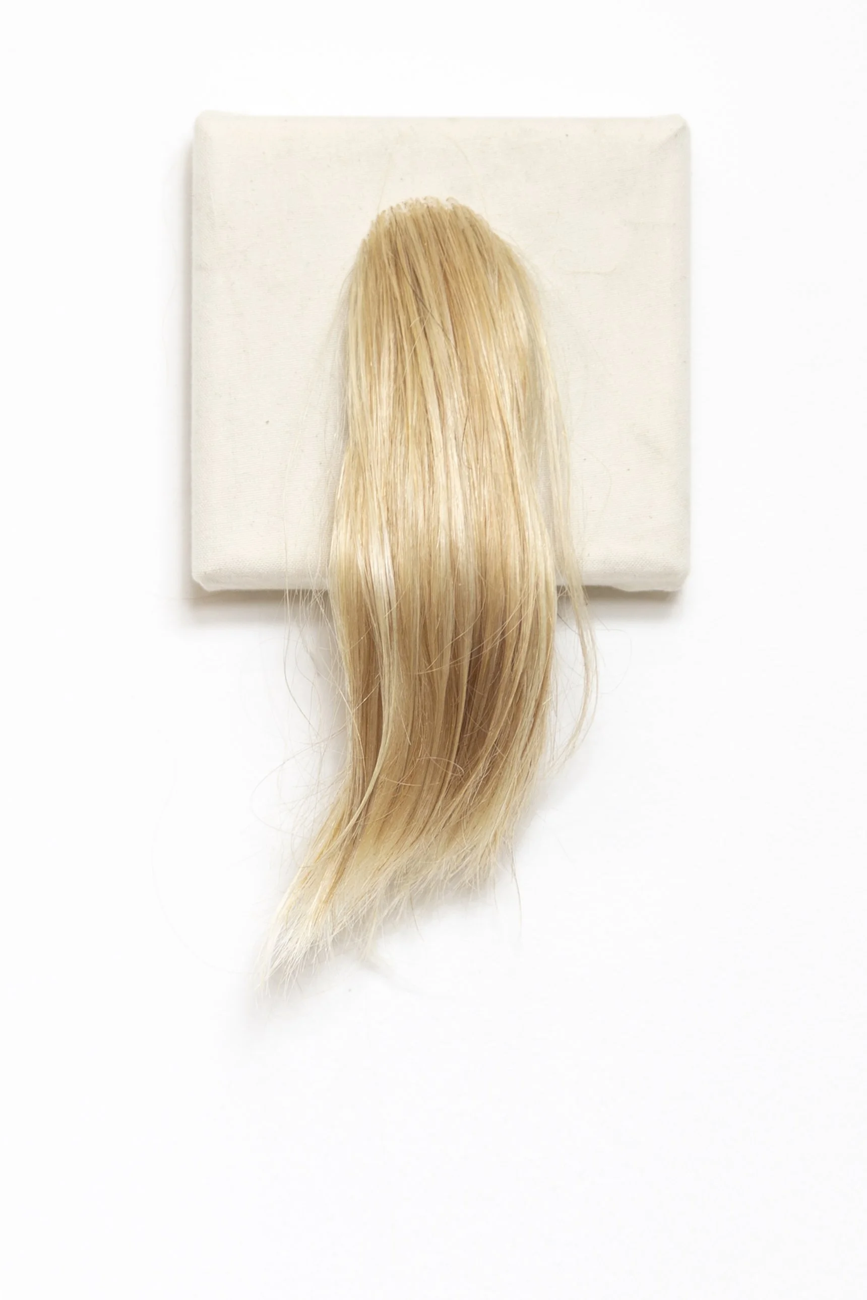 Blonde hair wig on a white canvas.