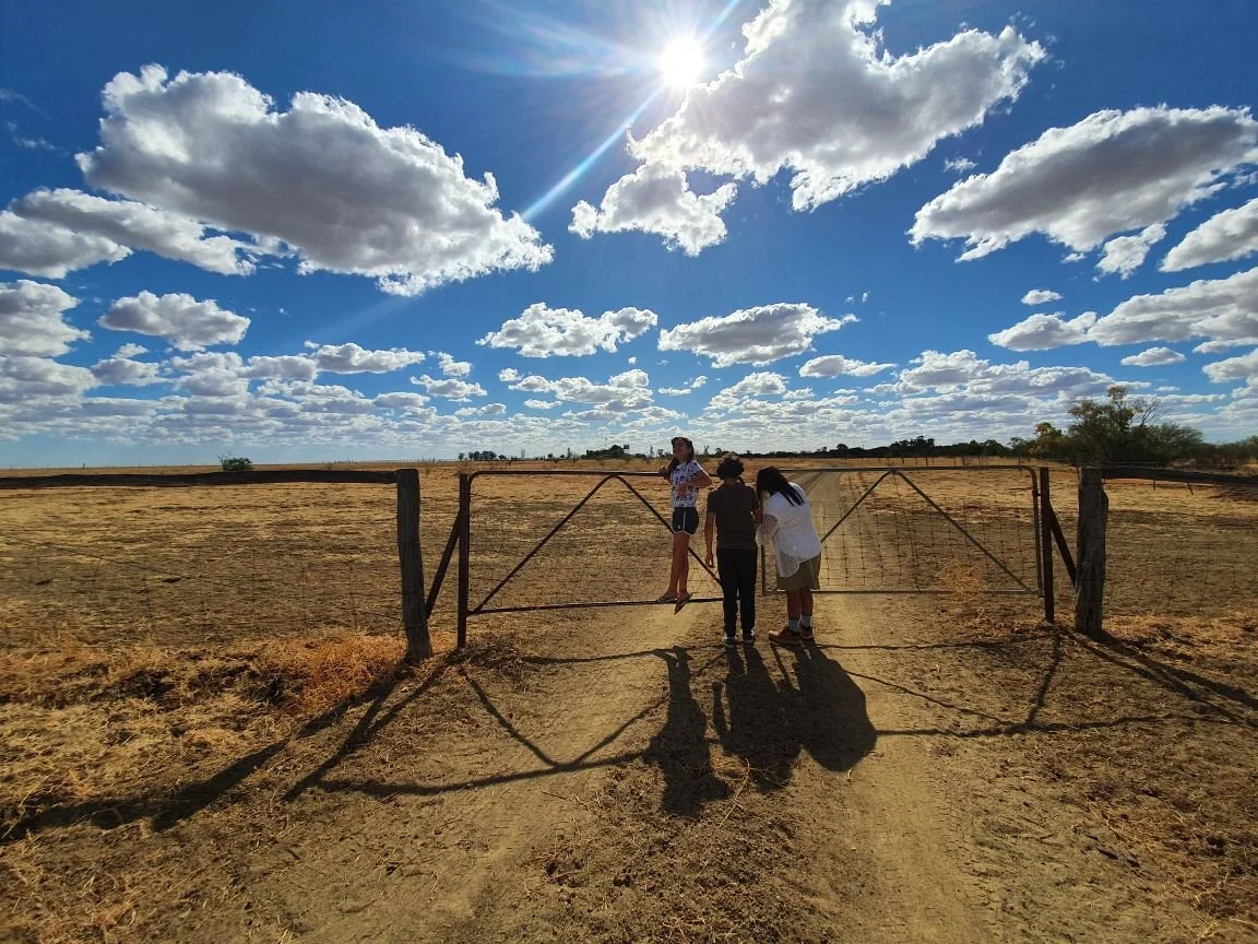 closing gates on property.jpeg