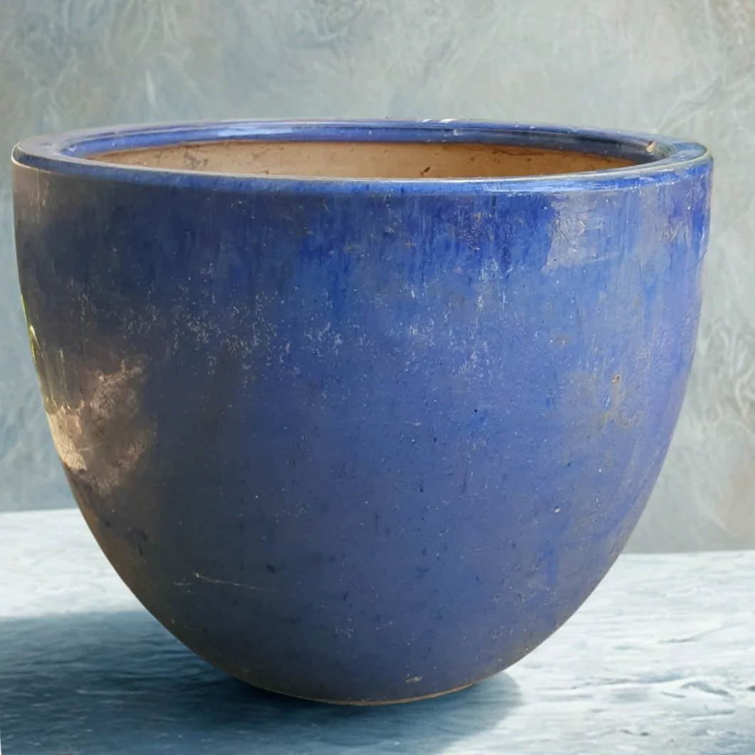 Gift a Pot & Visit