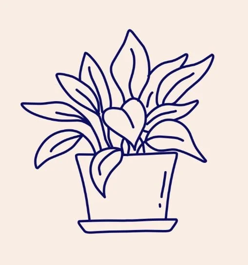 Line drawing of a potted plant with large leaves and a heart-shaped flower in the center.