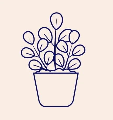 Line drawing of a potted plant with multiple oval-shaped leaves.