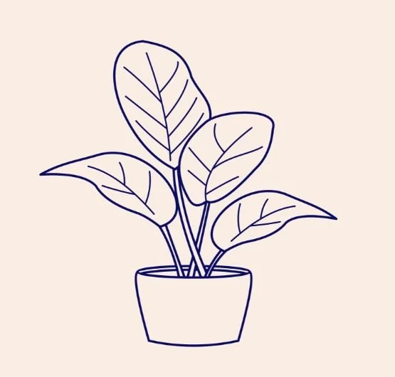 Outline drawing of a potted houseplant with five large leaves.