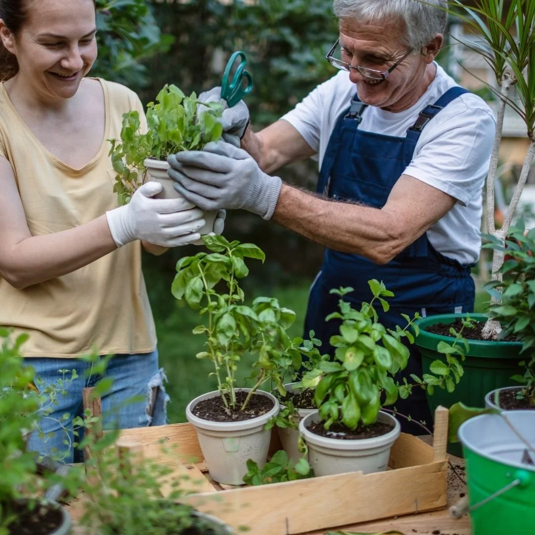 Two people, a young woman and an older man, are gardening together with potted plants at a table outdoors. They are planting or repotting a small green plant, smiling and working together surrounded by lush greenery.
