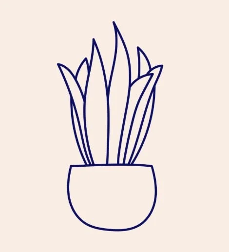 Simple line drawing of a potted plant with tall, pointed leaves.