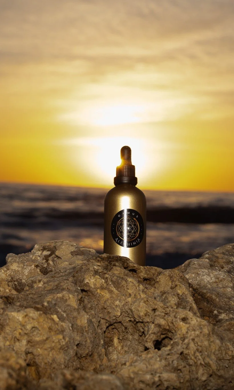 ORMUS on rock sunset portrait.jpg