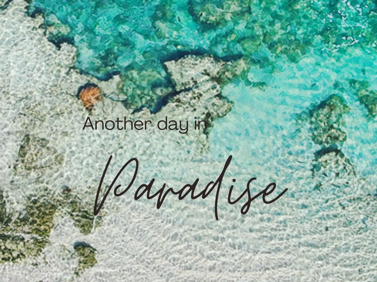 If an adventure up north is calling we only have a few dates left at the beautiful wildflower. Book your stay via our website. #kalbarri #Kalbarri accommodation #westisbest #holidaywa #calmstays
