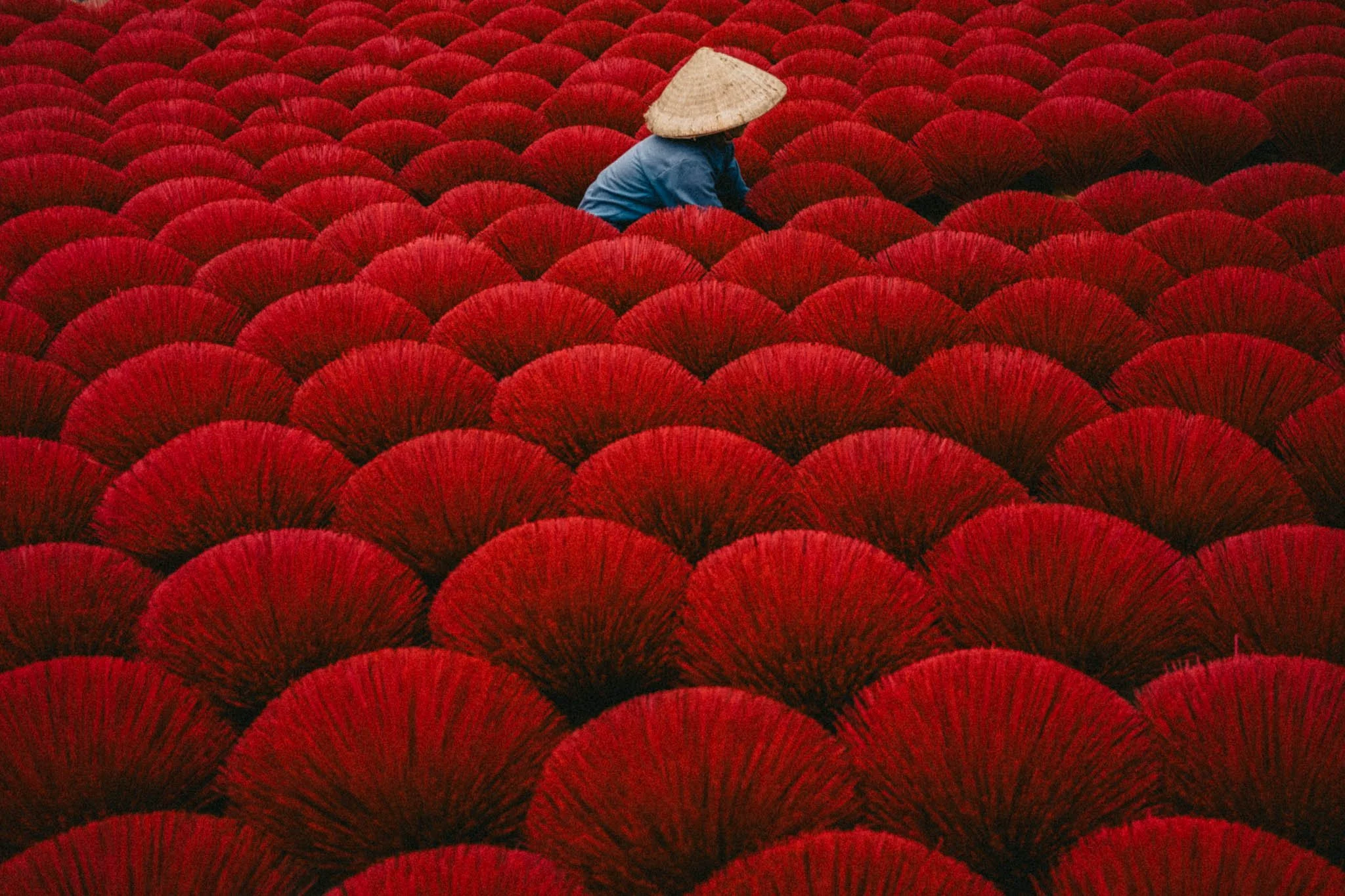 Travailleleur au chapeau conique dans un champ rempli d'ombrelles rouges.