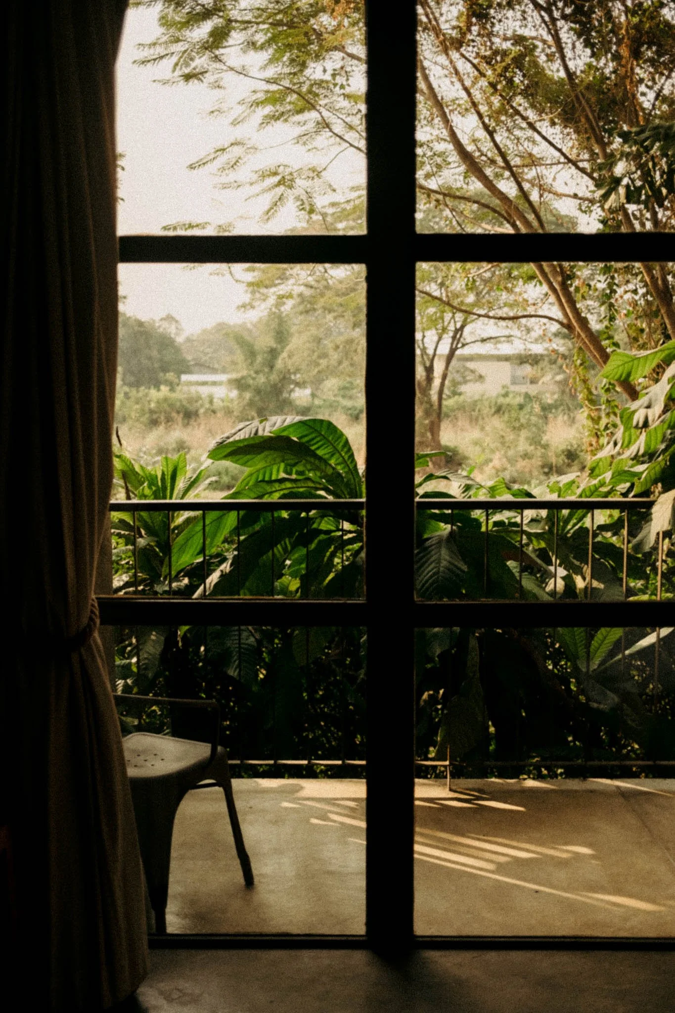 Vue depuis une fenêtre en bois, montrant un balcon avec une chaise en plastique, entouré de plantes vertes et de grands arbres, sous un ciel clair.