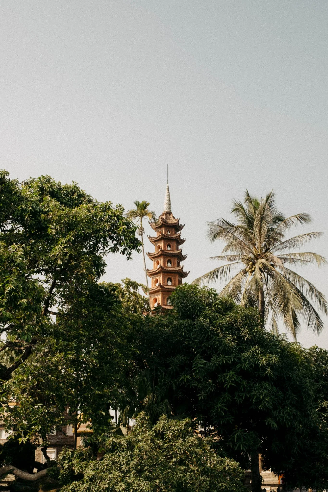 Tour en pagode traditionnelle en haut d'arbres tropicals, avec un ciel clair en arrière-plan.