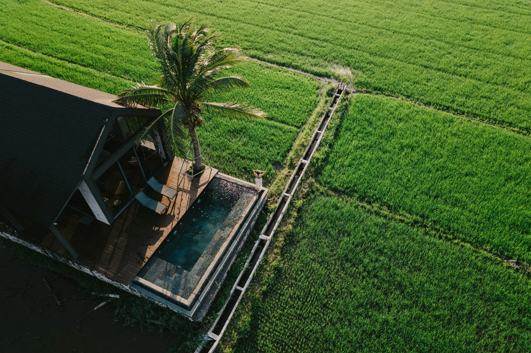 Une maison avec une terrasse en bois, un arbre de palmier, une piscine à débordement, et des champs verdoyants environnants, vue aérienne.