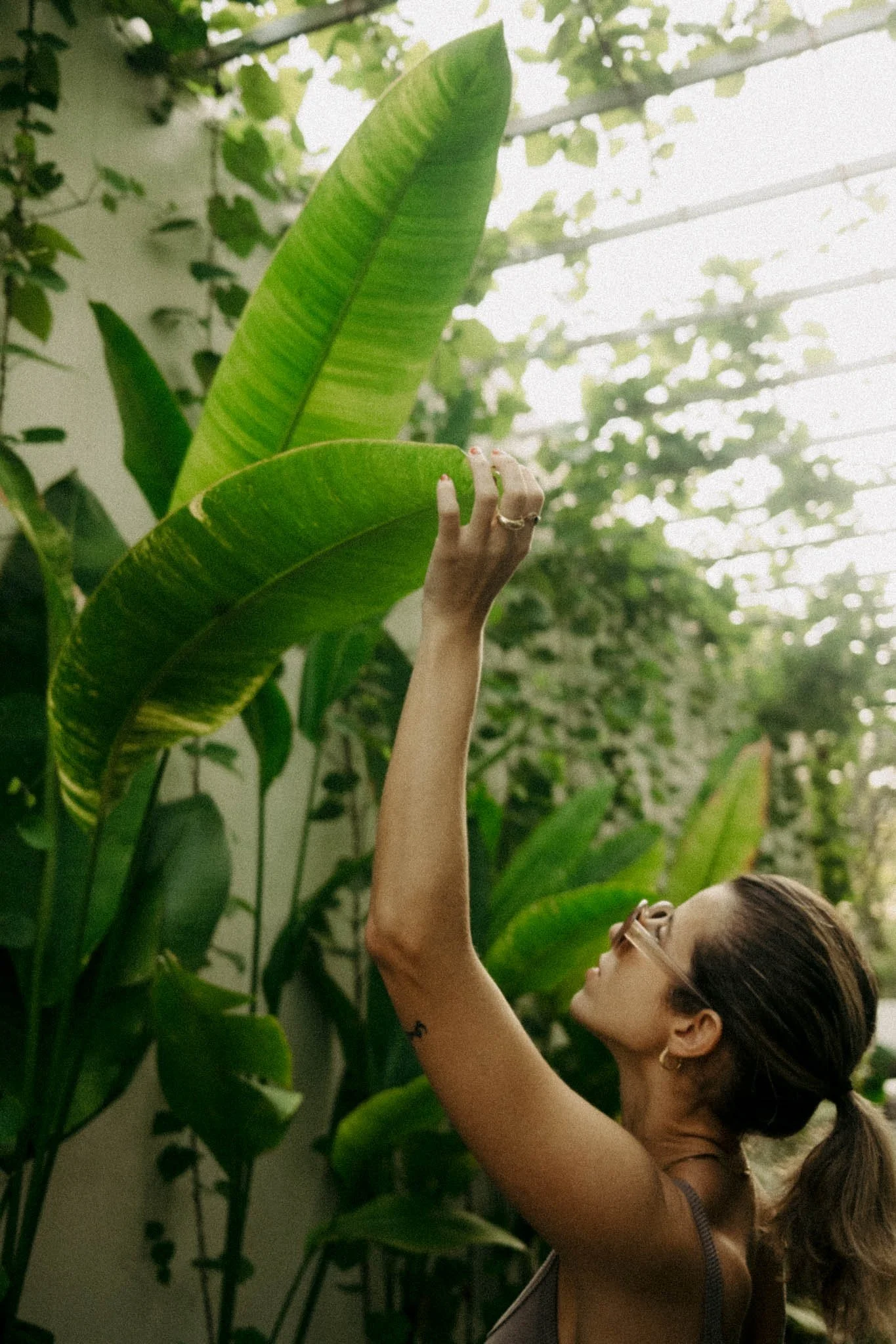 Femme avec lunettes et cheveux en queue de cheval touche une grande feuille verte dans une serre ou un jardin tropical, entourée de nombreuses autres plantes vertes.