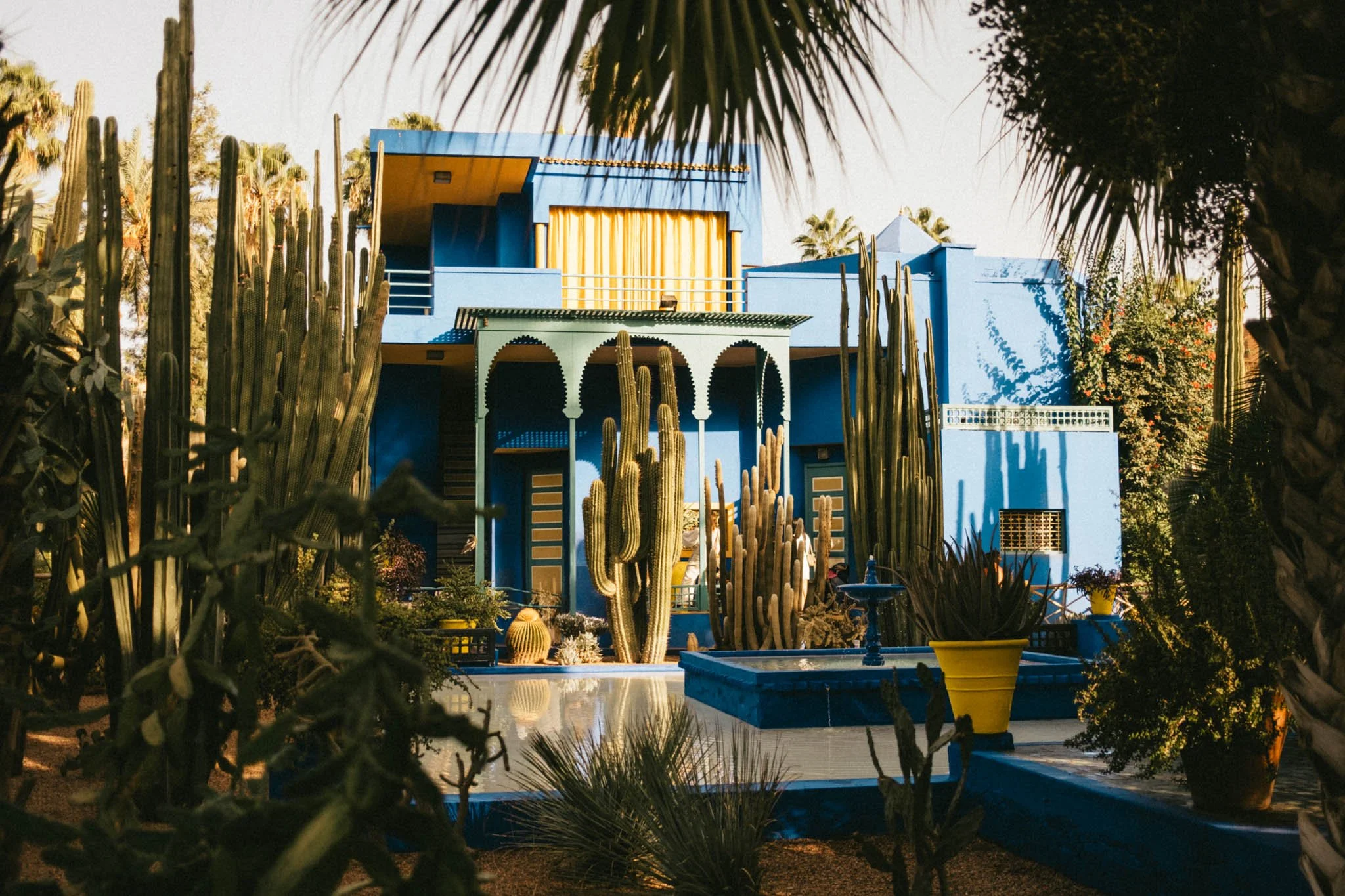 Maison colorée bleue avec terrasse jaune, entourée de nombreux cactus et plantes dans un jardin ensoleillé