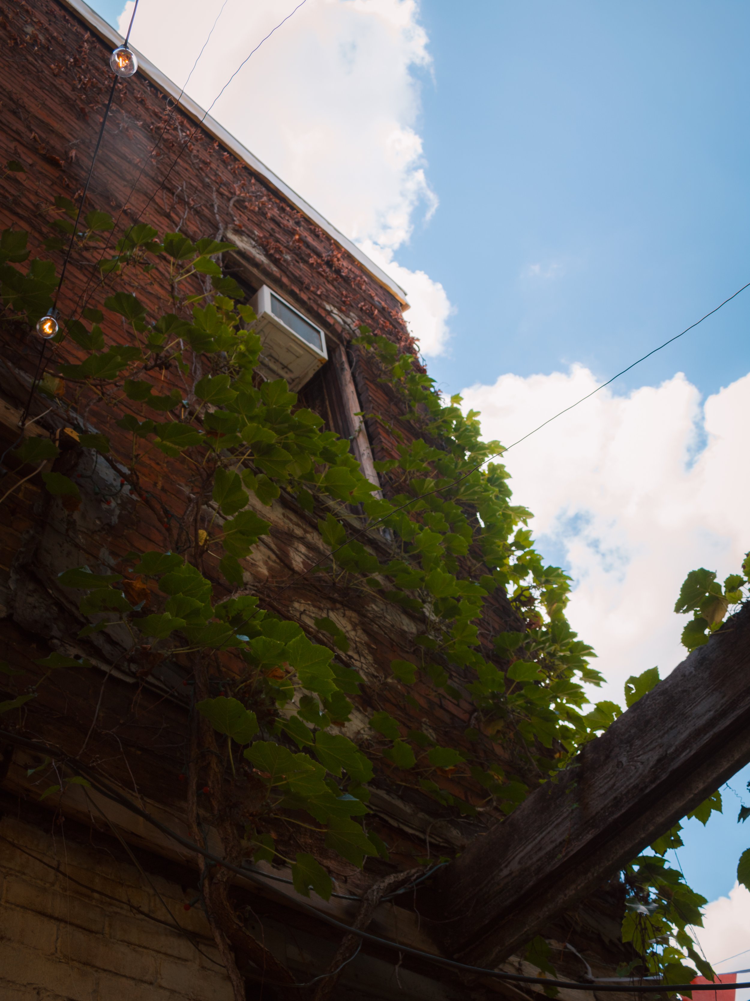 IMG_9225-Edit.jpg