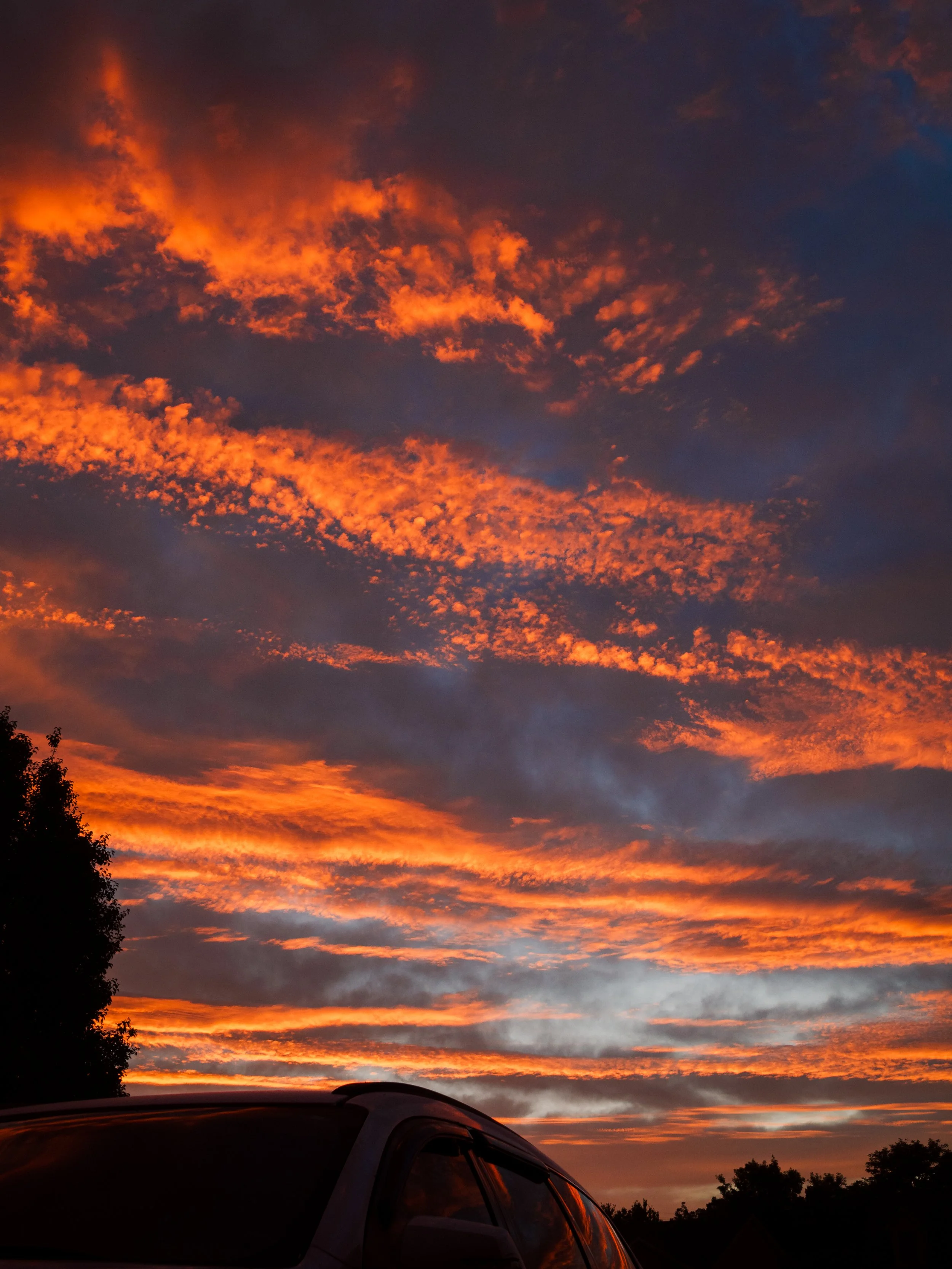 IMG_8738-Edit.jpg