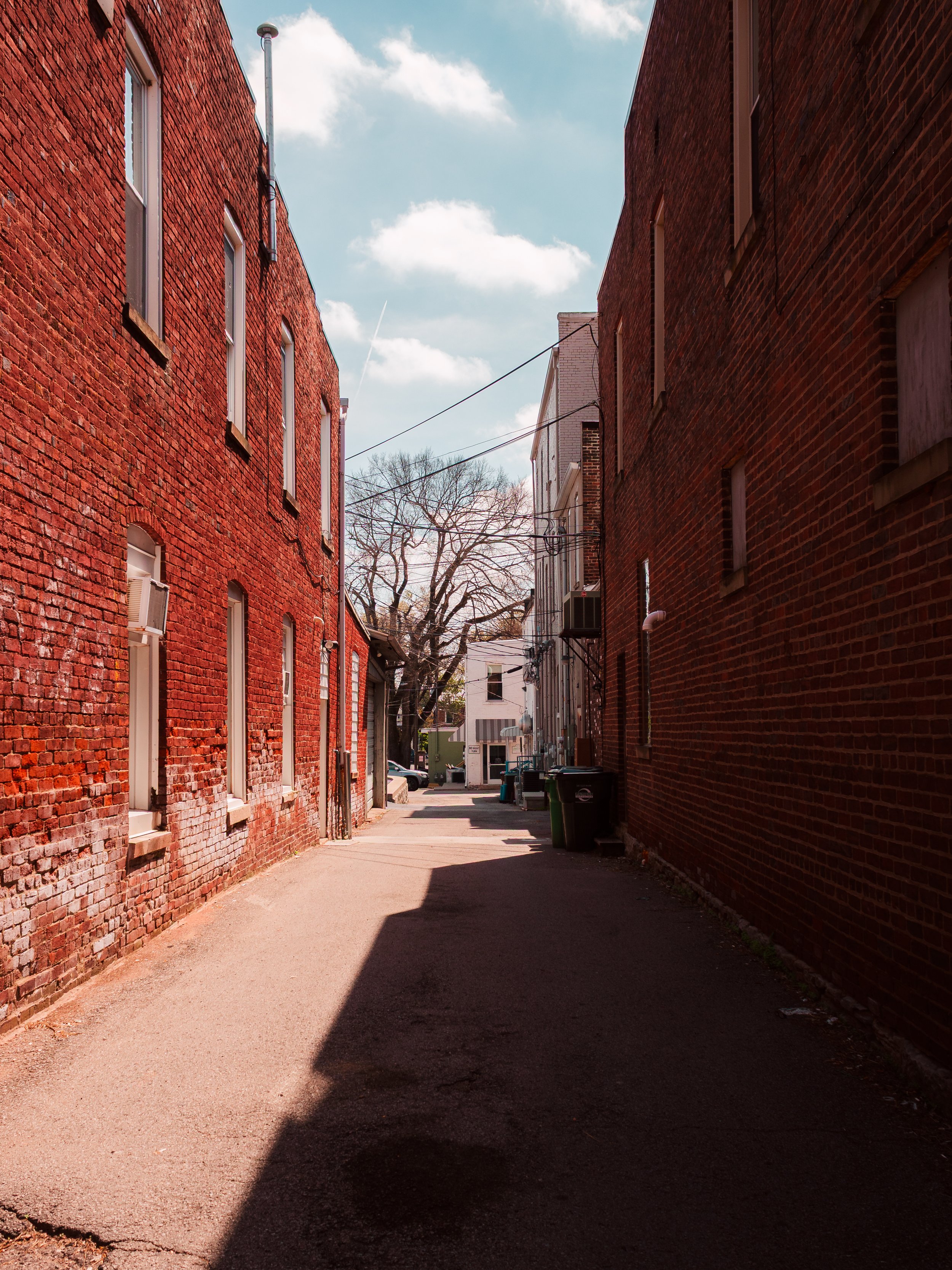 IMG_1069-Edit.jpg