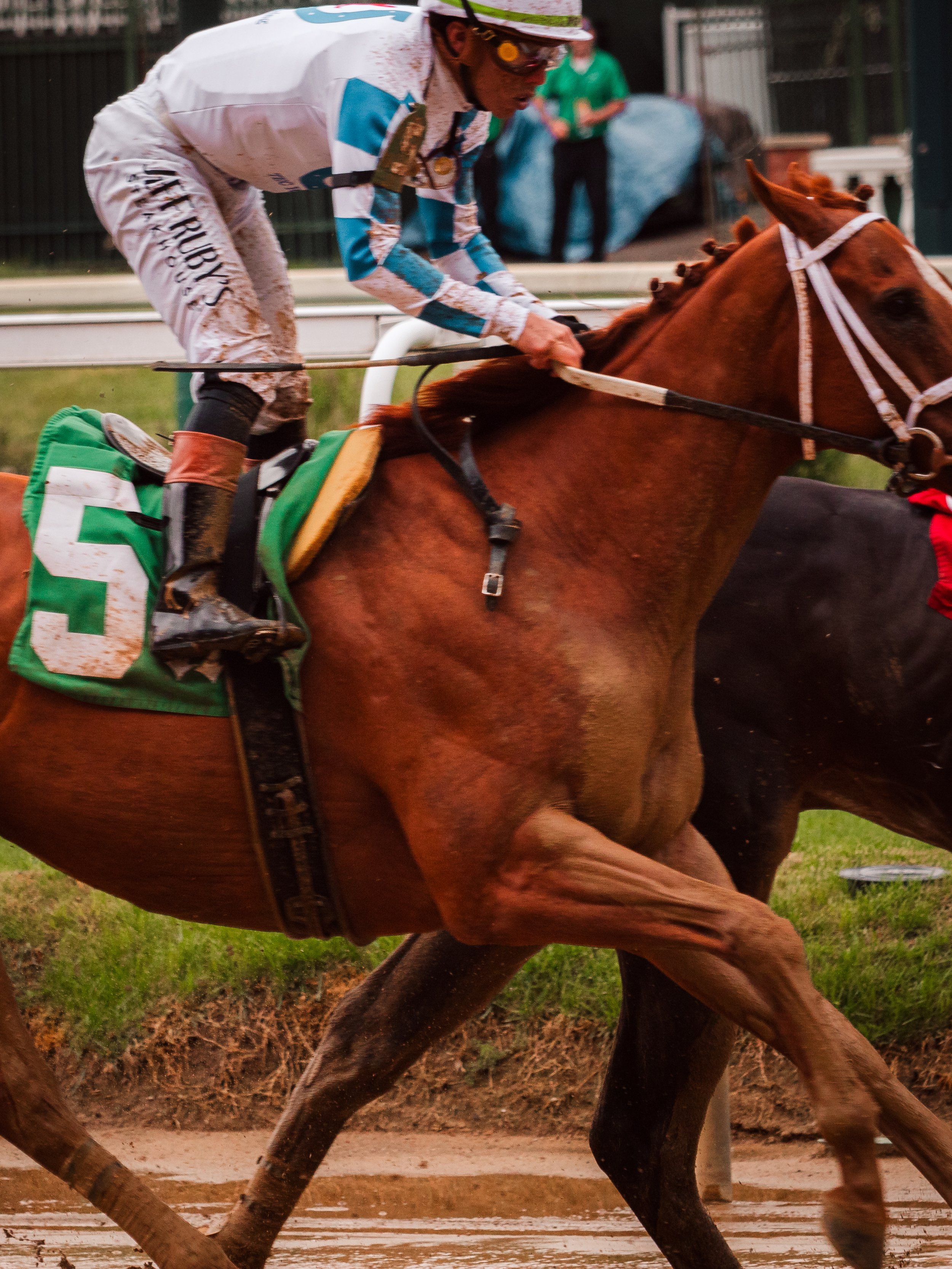 IMG_1364-Edit.jpg