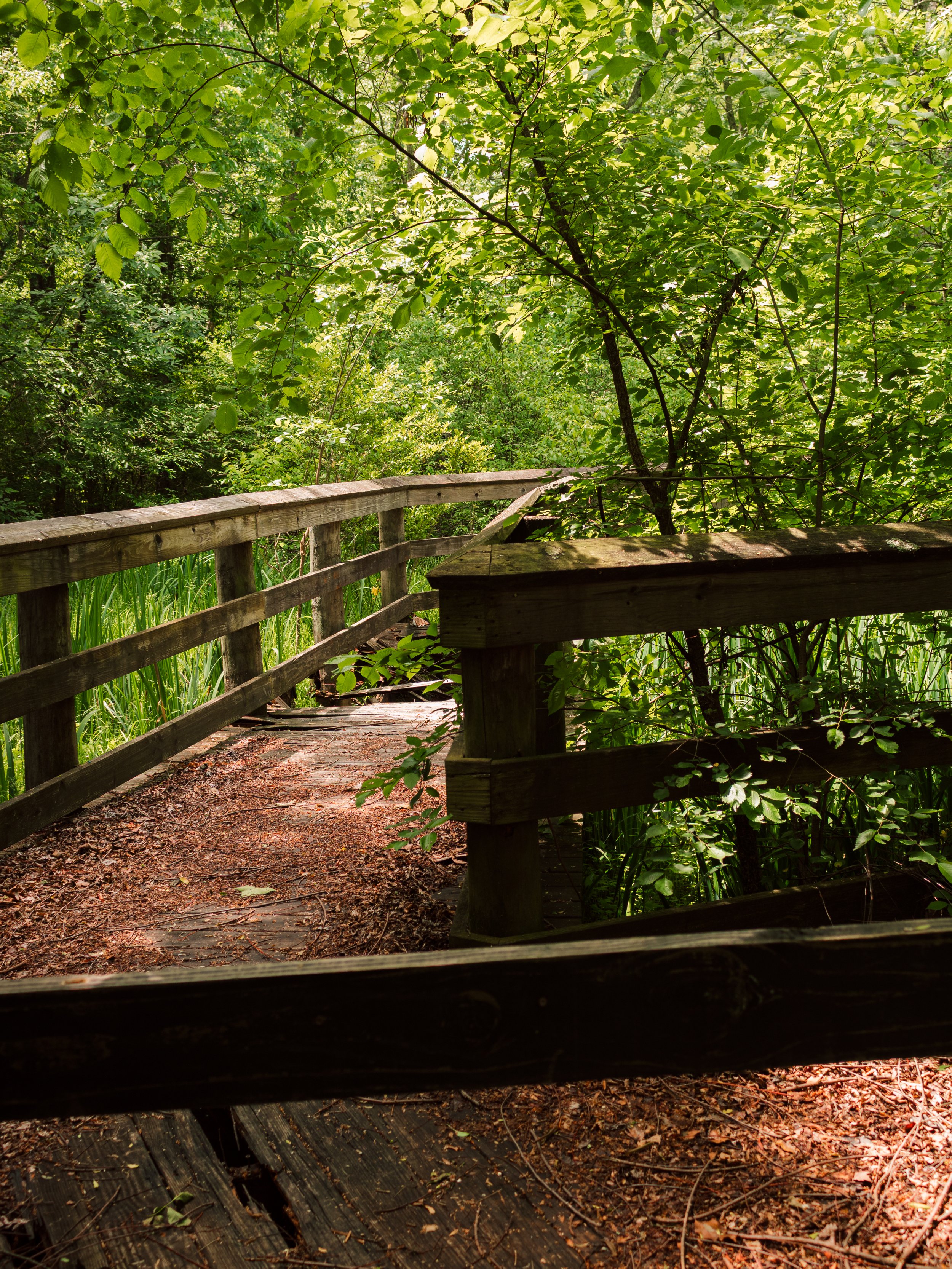 IMG_8575-Edit.jpg