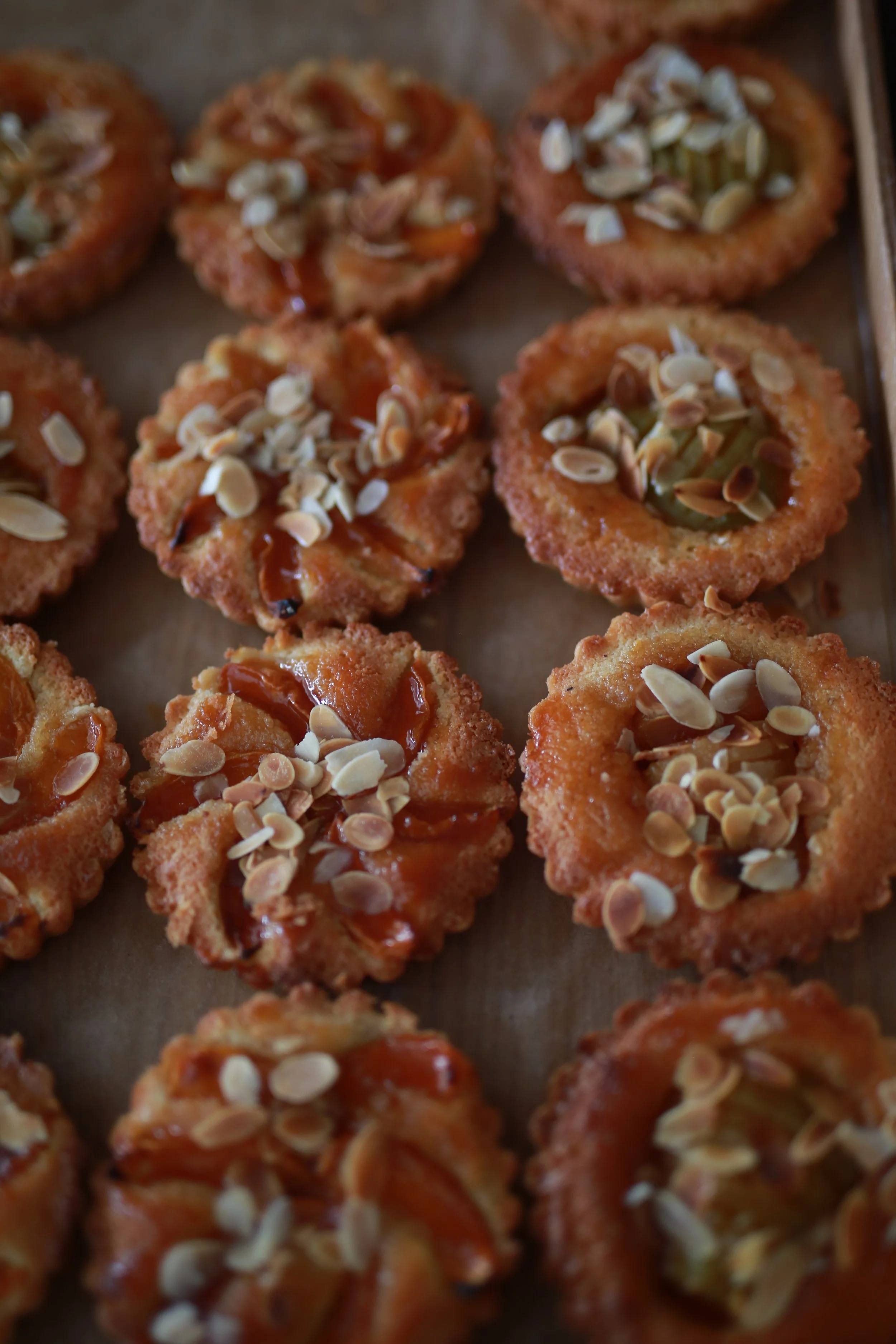 fruit-tartes-dilekerei-berlin-apricot.JPG