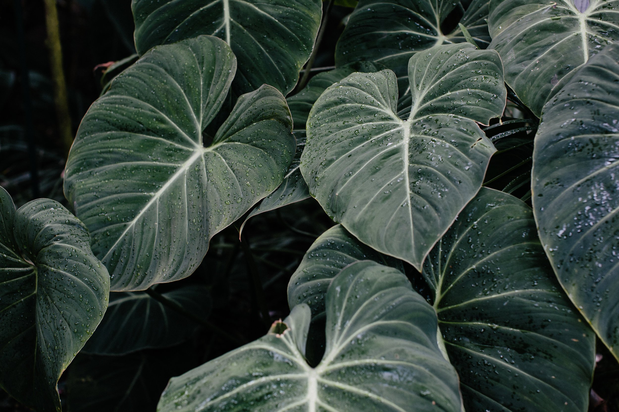 image-asset-3.jpg