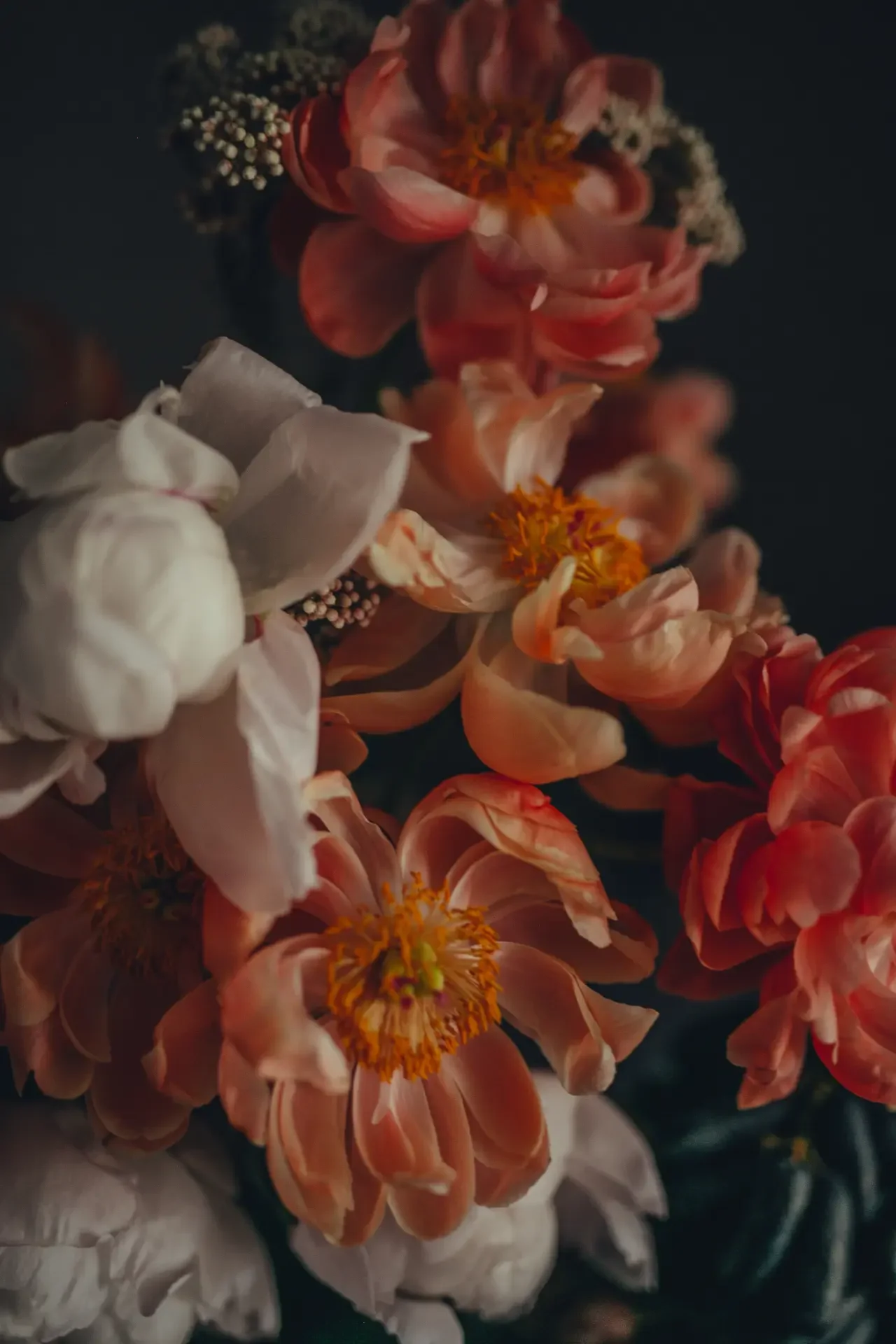 baklava-dilekerei-berlin-flowers-peonies-orange.webp