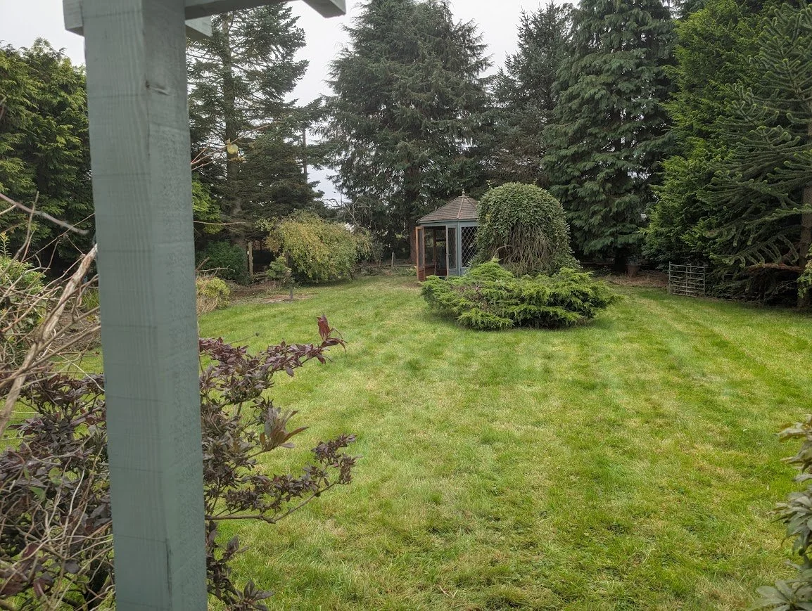 garden.jpg