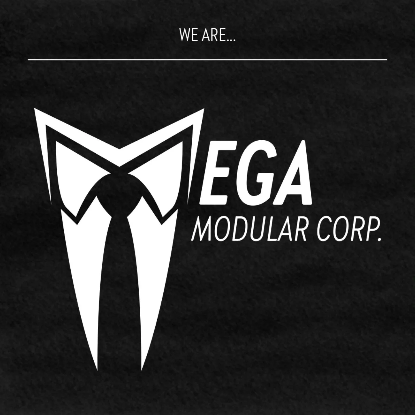 Mega Modular Corp. is:

@setonixsynth

@robotsarered

@crazyemperor893 

@tidbitaudio