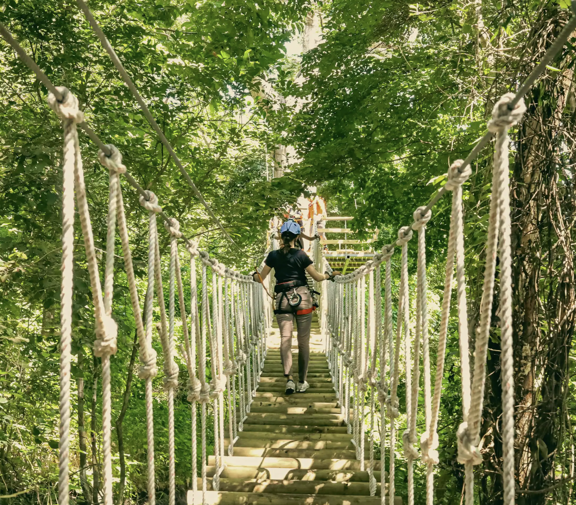 Person crossing a rope suspension bridge in a forest, wearing a helmet and climbing gear.