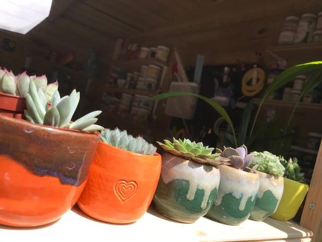 Succulent pots