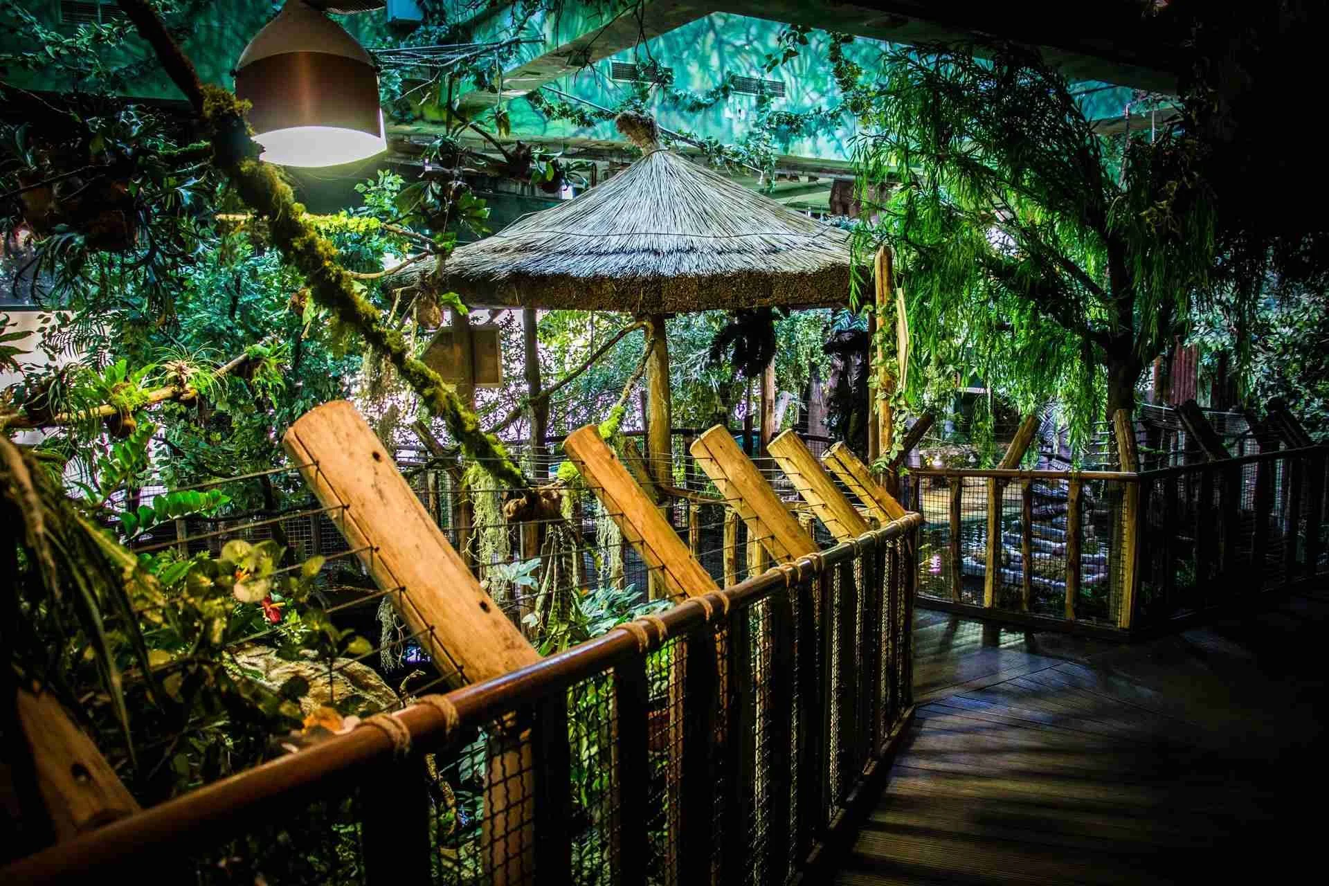 tropicarium 3.jpeg