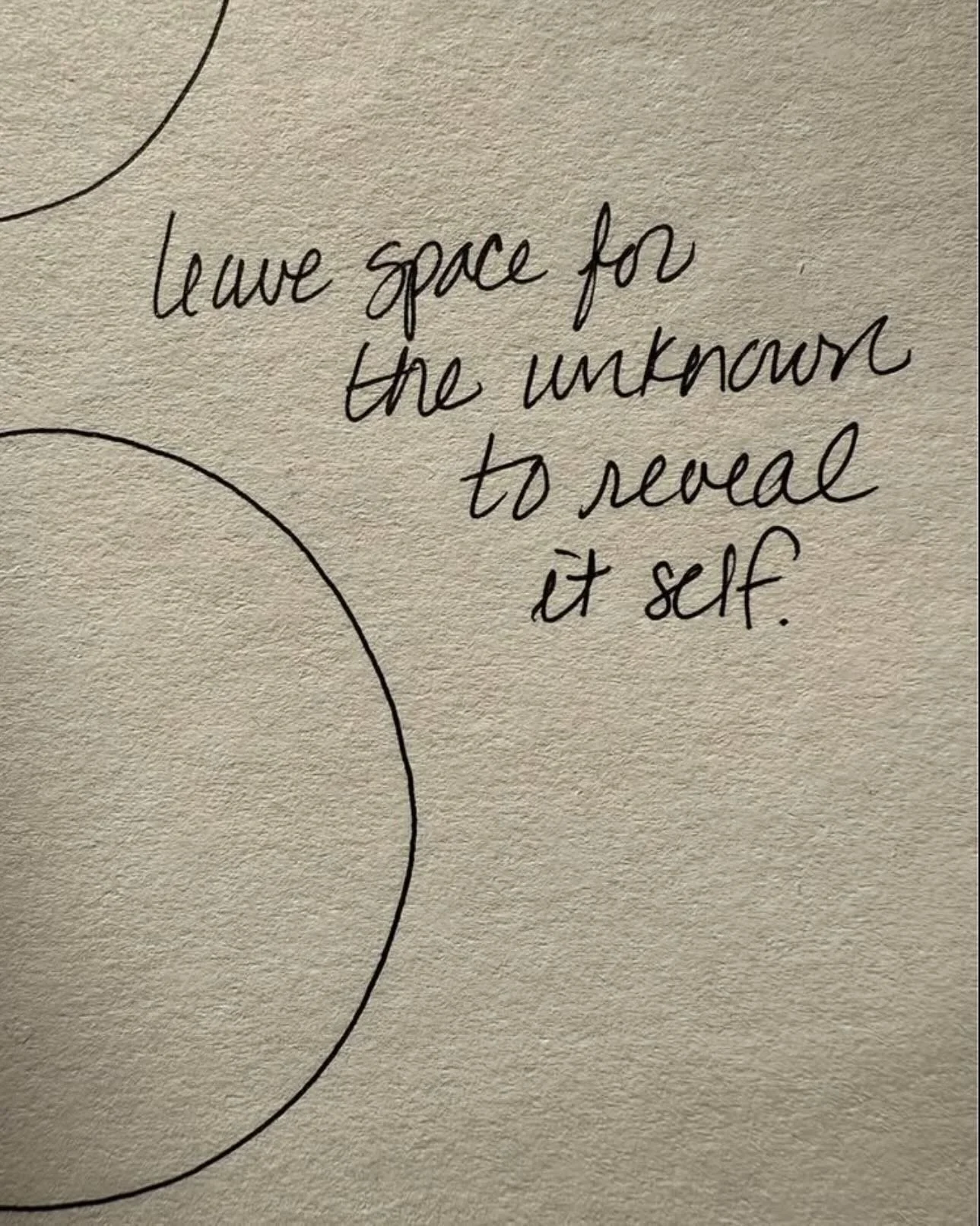 2025 🍃🐍 - the year of the yin wood snake

At the end of the year I always feel an inner struggle in between the need to rest and honour the winter season and the pressure and excitement to plan for 2026.
But if I stop for a moment and look back at 
