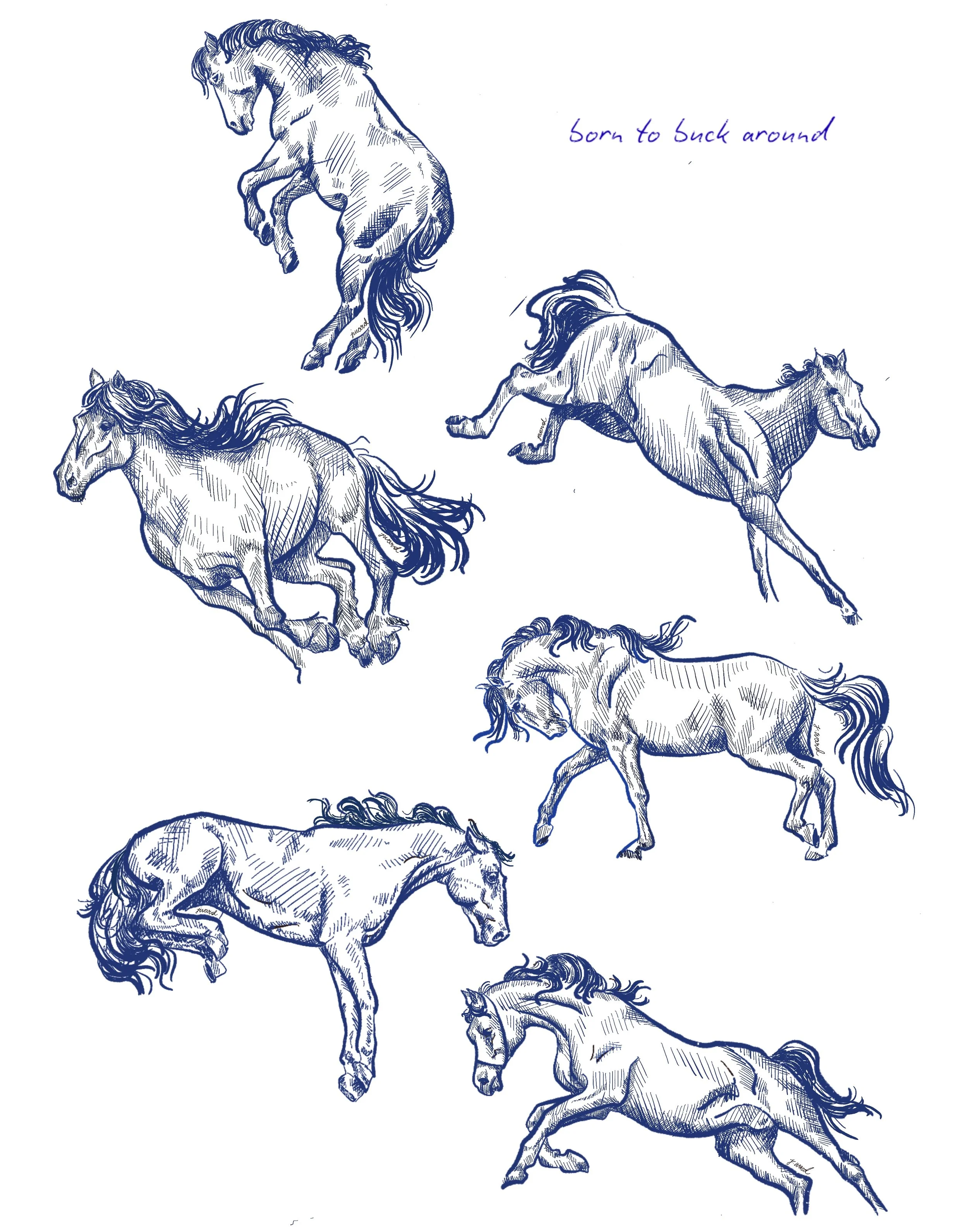 Buckin' Around Blue Poster