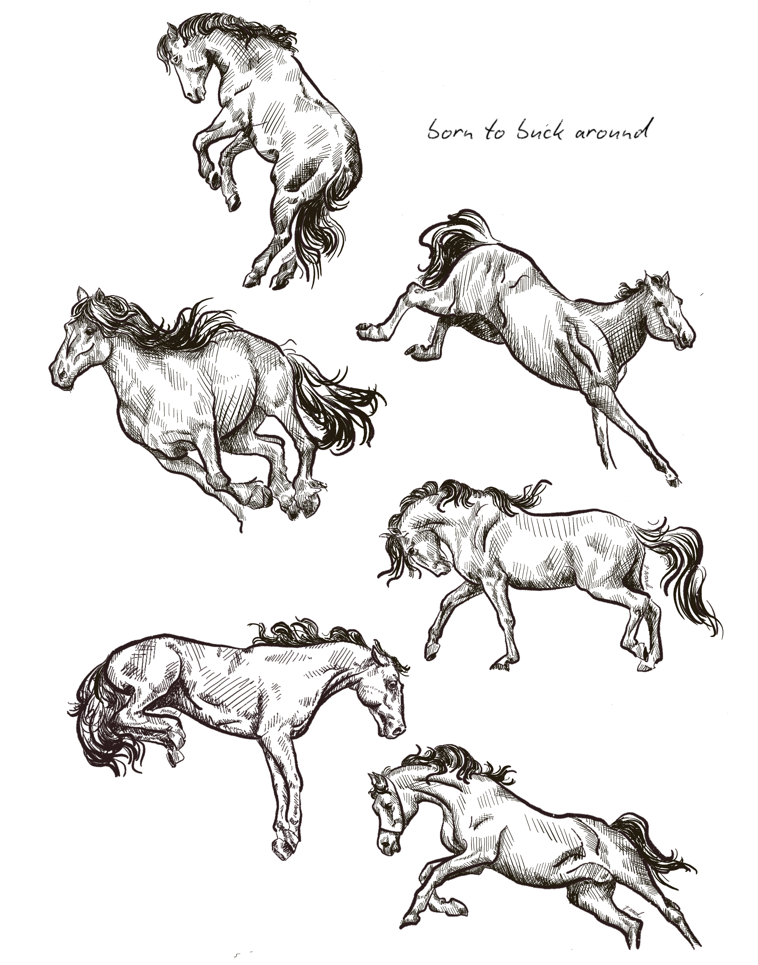 Buckin' Around Black & White Poster