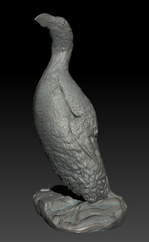 Great Auk 1:5 Scale Replica