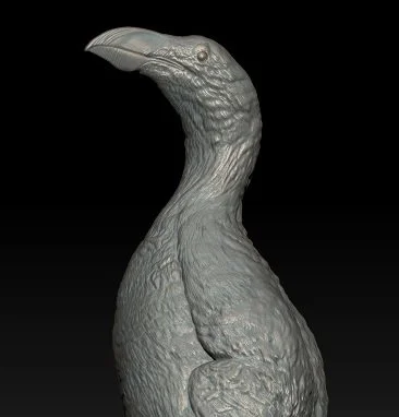 Great Auk 1:5 Scale Replica