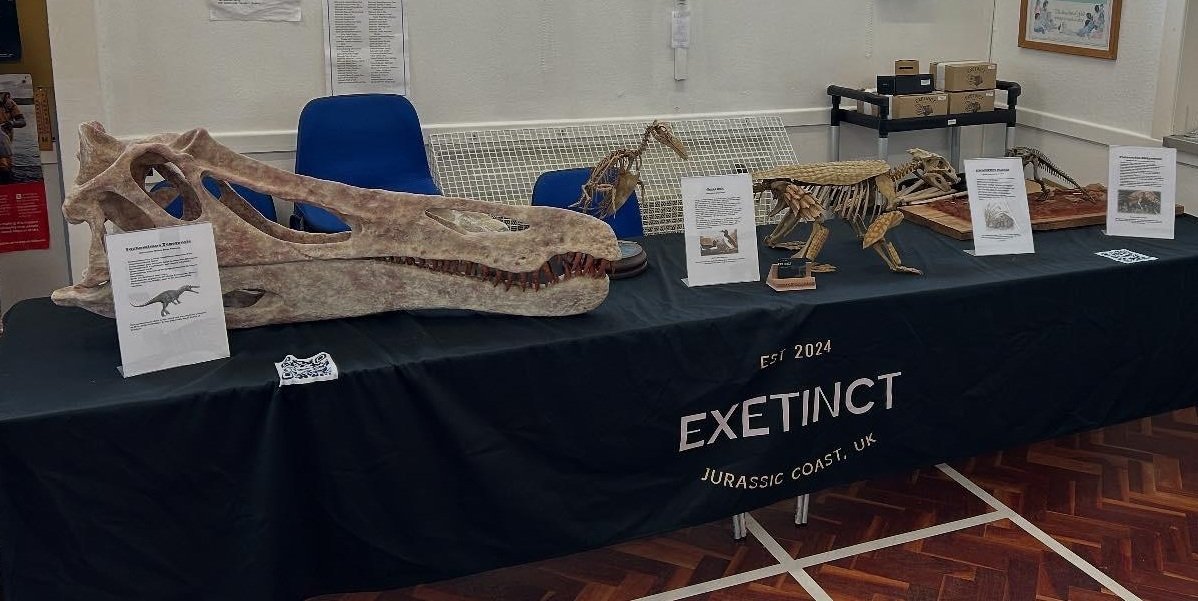 Display table with dinosaur fossils and skeleton models, including a large skull replica, fossilized bones, and informational signs at a museum exhibit about extinct dinosaurs from the business Exetinct.