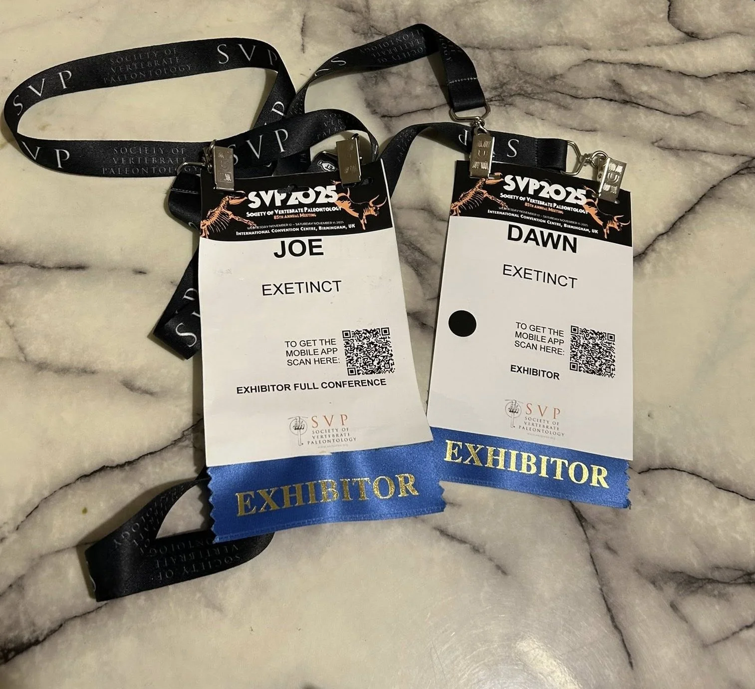 Conference badges with black lanyards labeled 'SVP 2025 Society of Vertebrate Paleontology' and blue ribbons with 'Exhibitor' printed on them, placed on a marble surface.