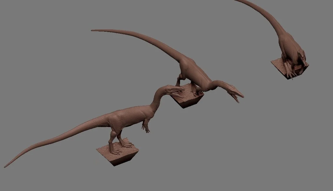 ceolophysis peg-slot design