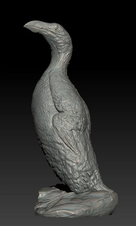 A great auk, a large penguin-like bird against a black background