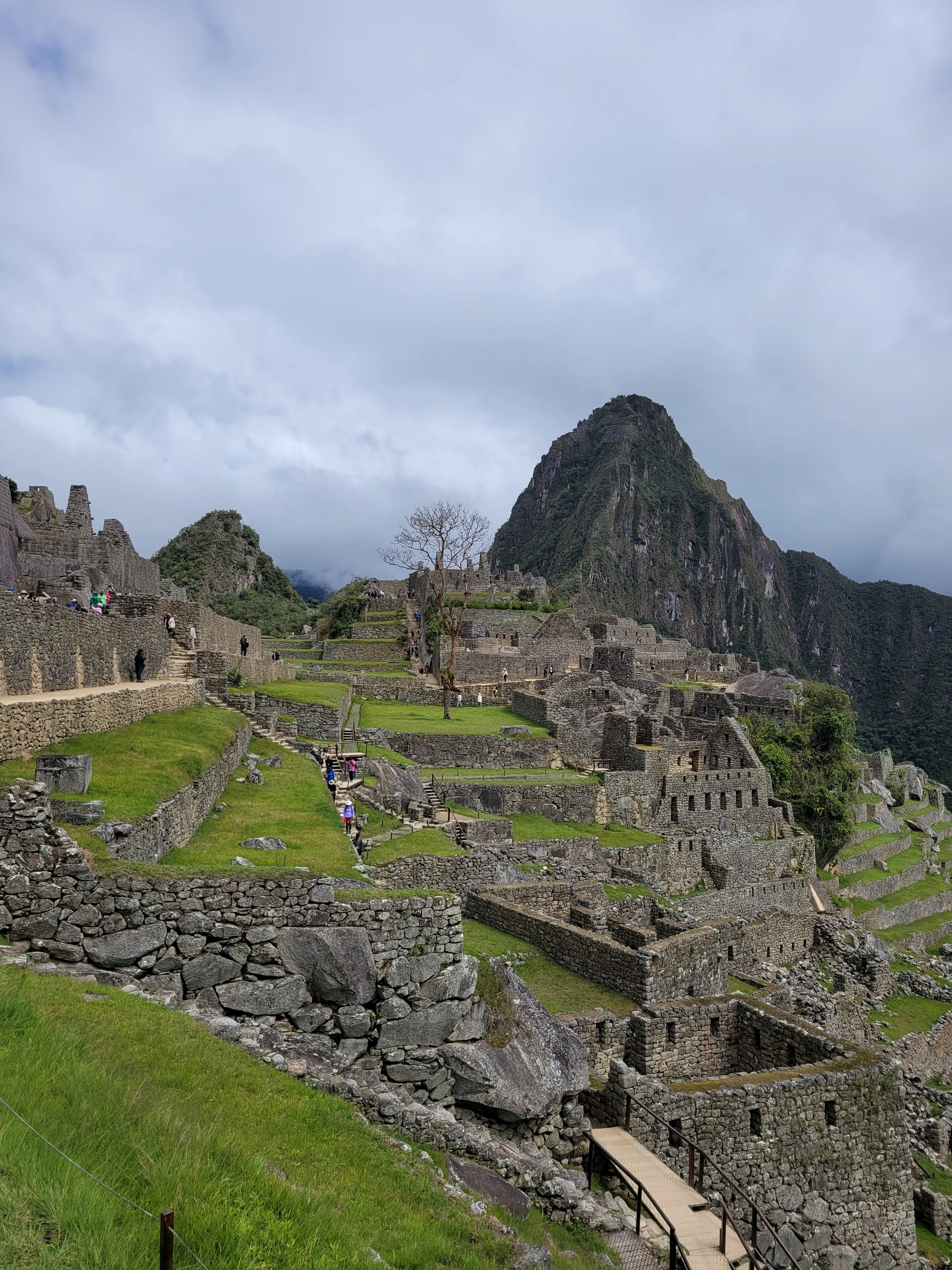 Murder in Machu Picchu: The Perfect Book Title?