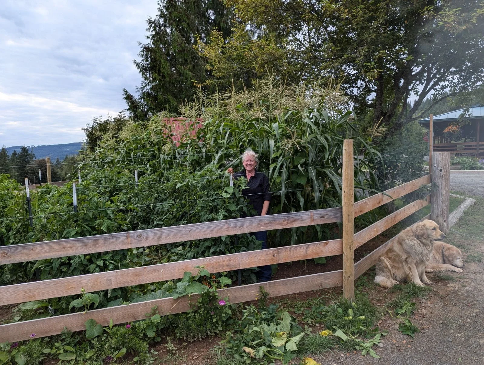 Garden.jpg