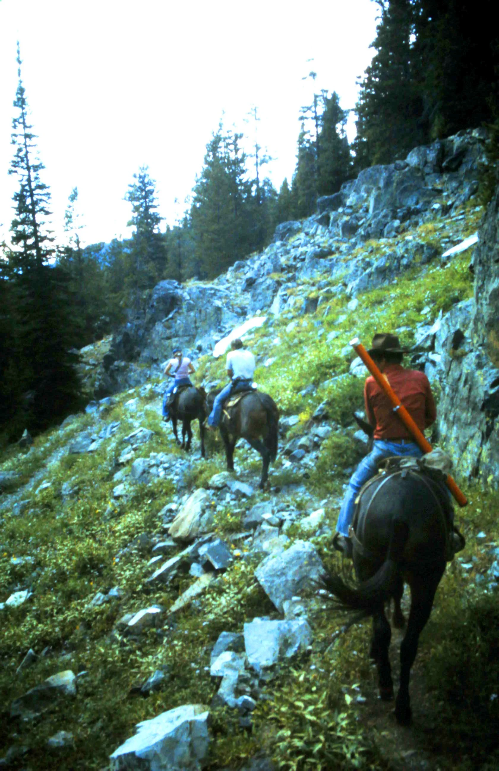 High Mountain Fishing