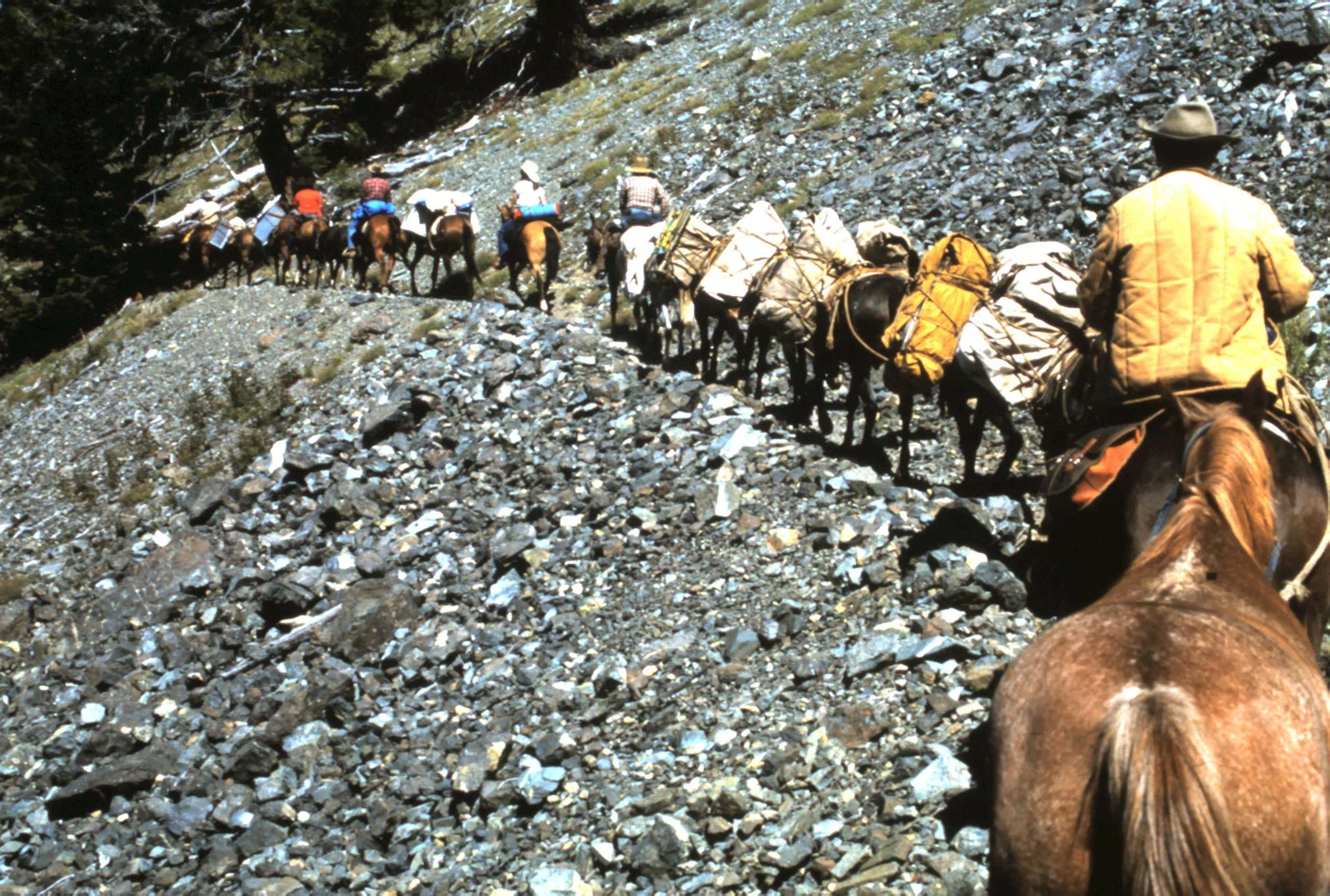 Bear Saddle Six Lakes Basin.JPG