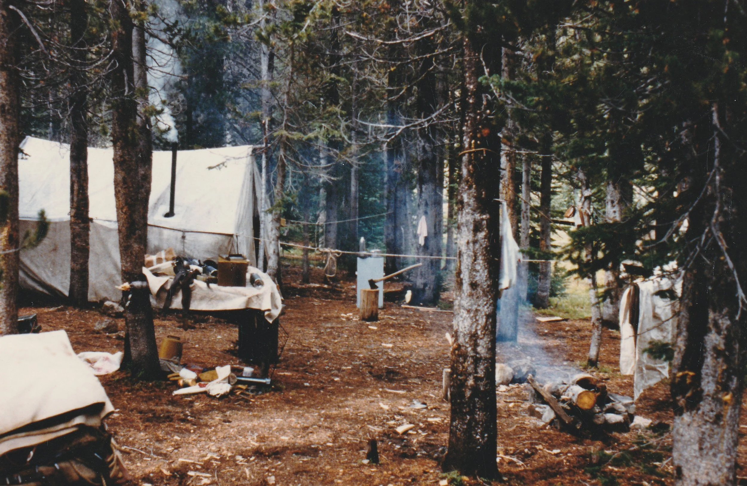 Camp in the Trees.jpg
