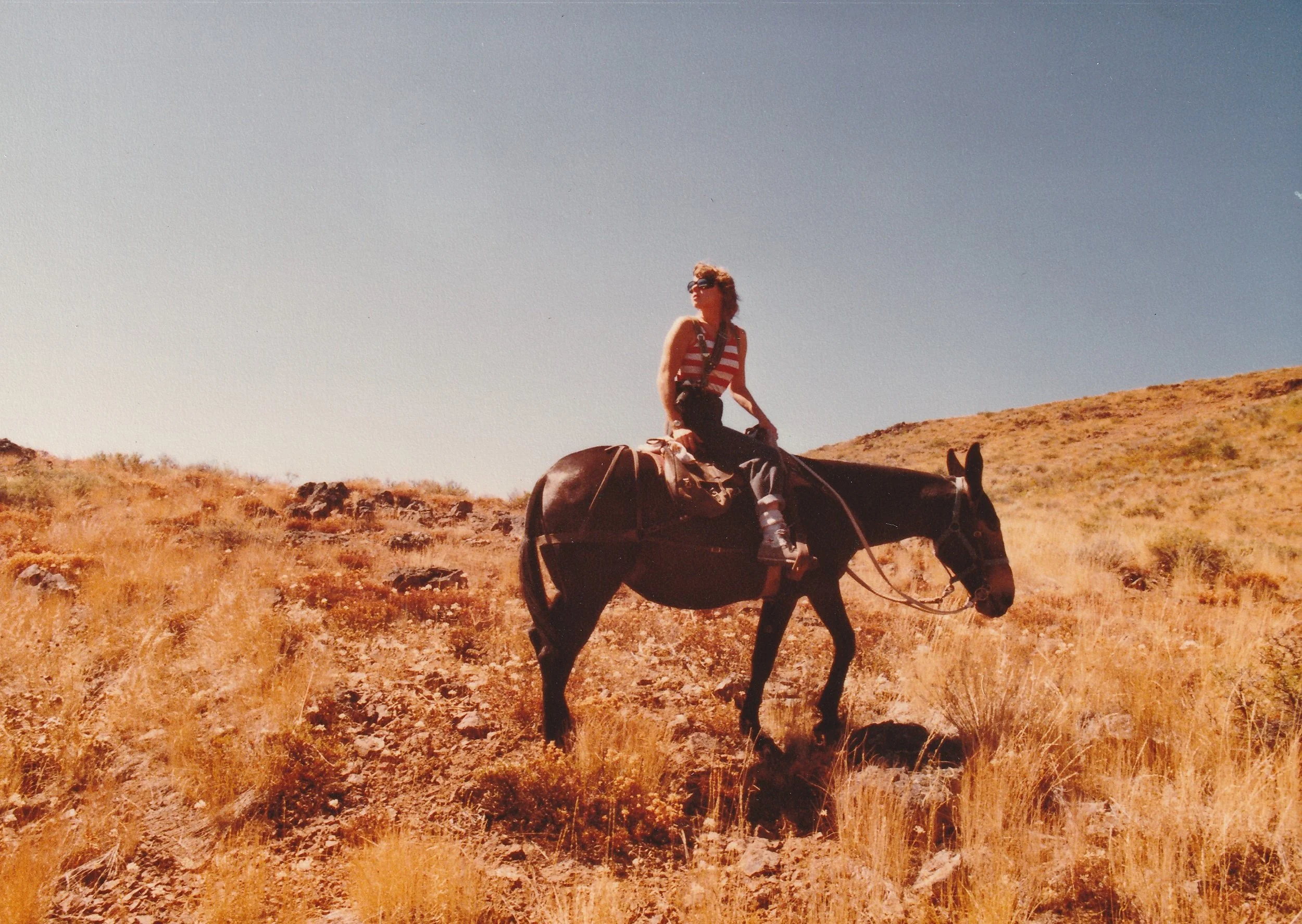 Suzie on Mule cropped.jpg