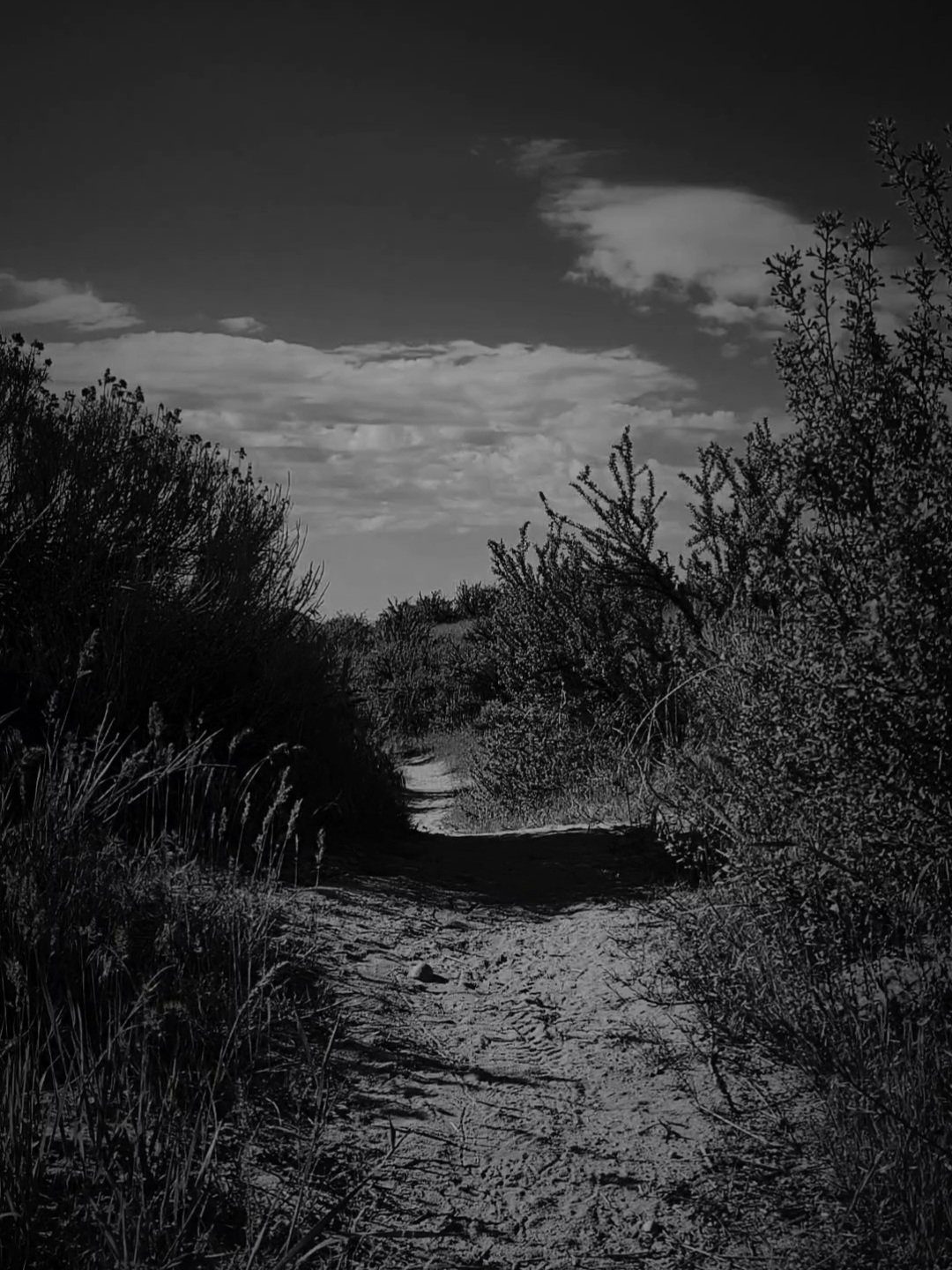 The Trail Runner: a murder mystery in two parts