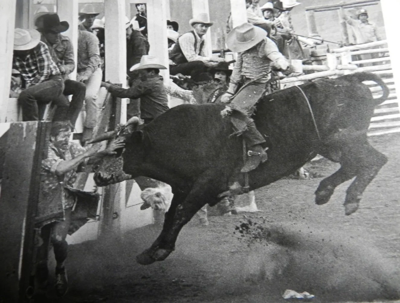 Bullfighting 1.jpg