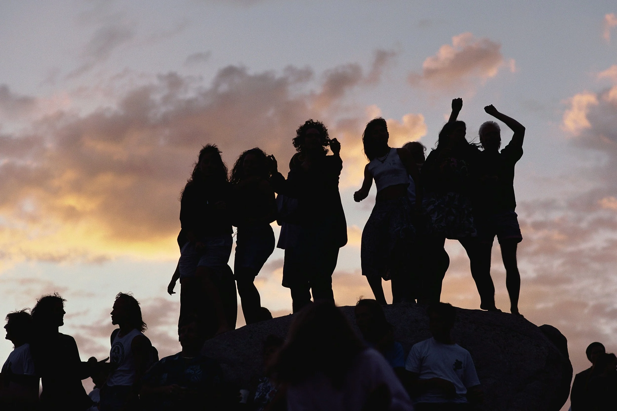 The Power of the Pack: Why Nonprofit Ecosystems Can Drive Better Outcomes With Less Risk