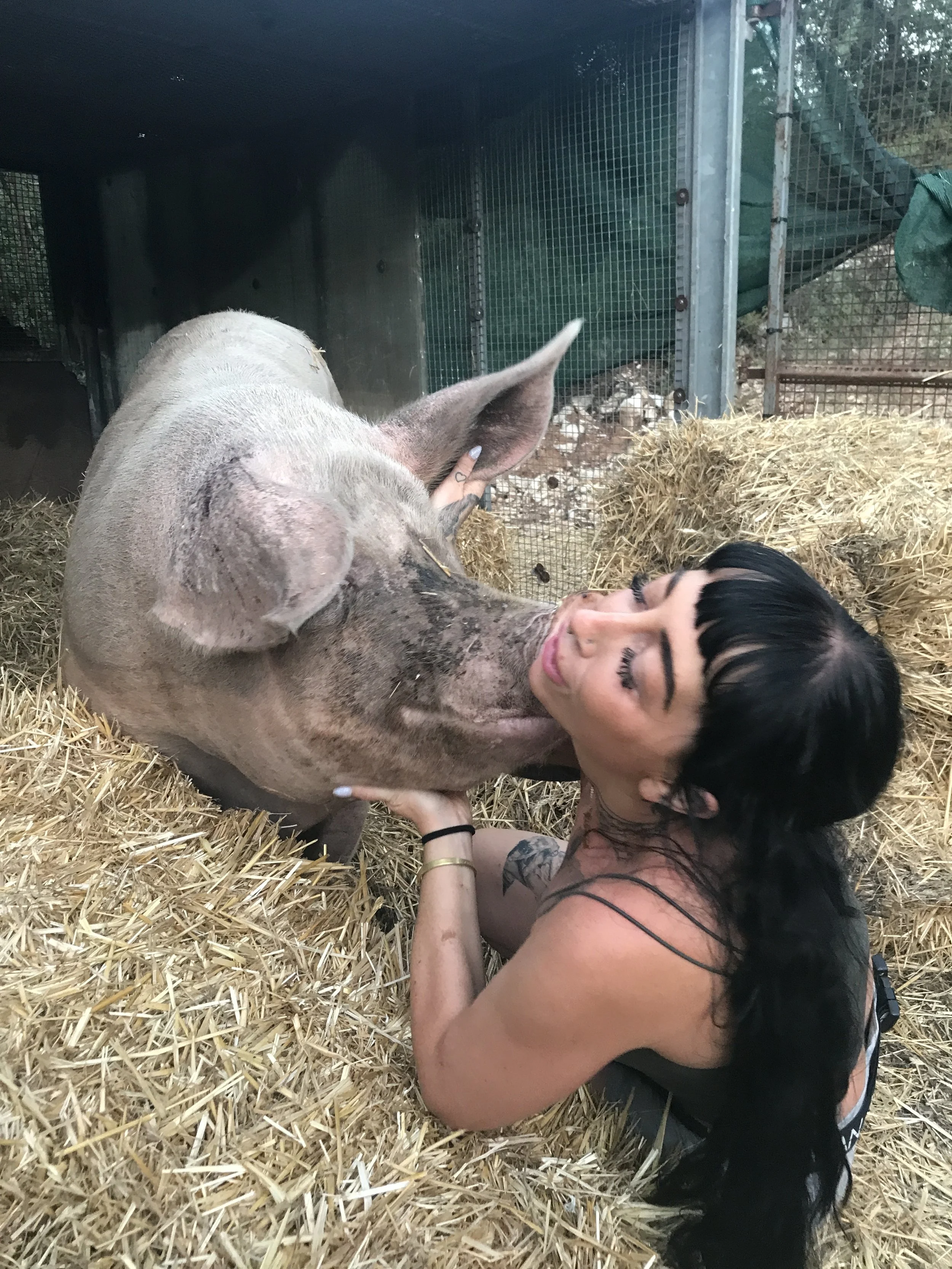 Shakira, founder of Animal Rights Care Consultancy (ARCC), shares a tender moment with a rescued pig in a straw-filled enclosure, highlighting compassionate, ethical animal care and advocacy.