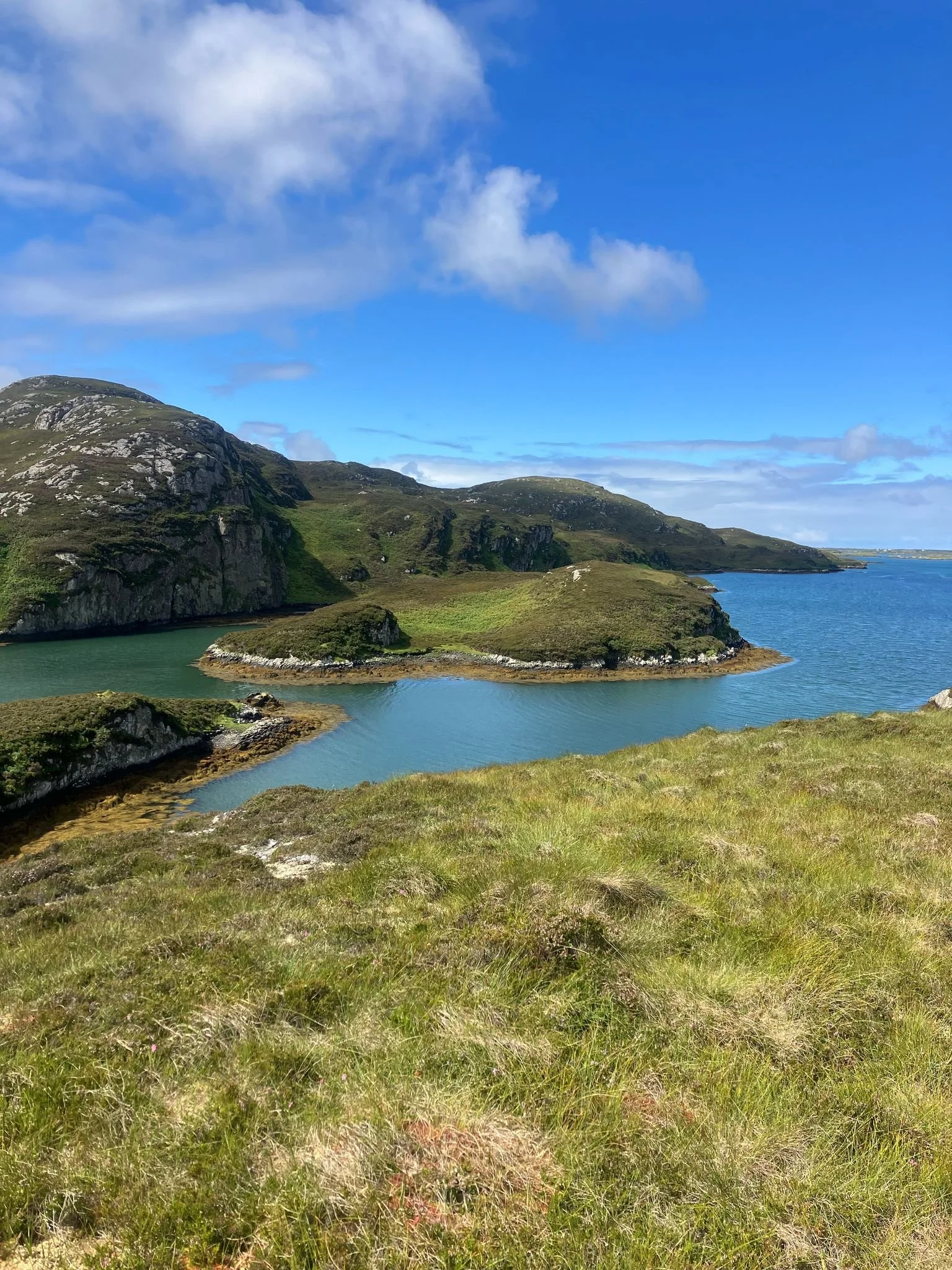 The eDNA results are in. What we’ve found in Ronay Island’s waterbodies