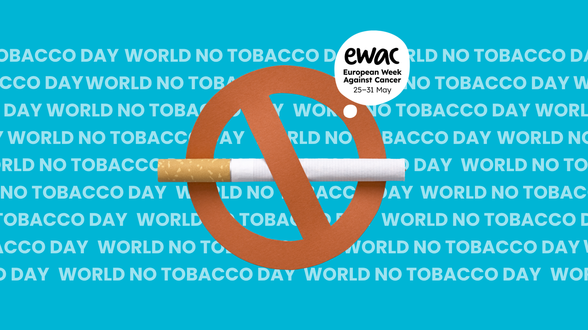 European Parliament’s Intergroup on Cancer &amp; Rare Diseases calls for sustained ambition on tobacco control and taxation ahead of World No Tobacco Day